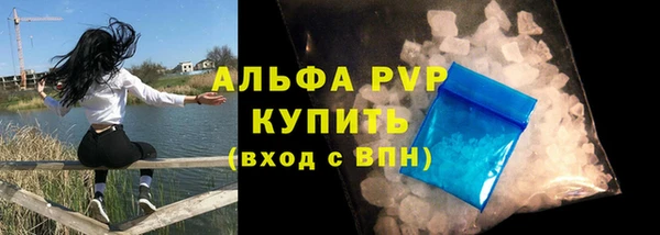 стаф Нефтегорск