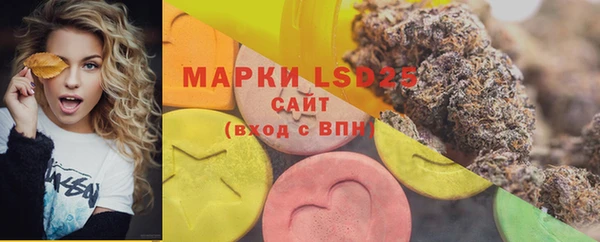эйфоретик Надым